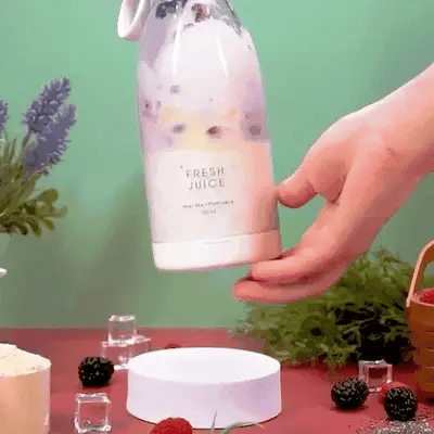 Portable Mini Juice Blender
